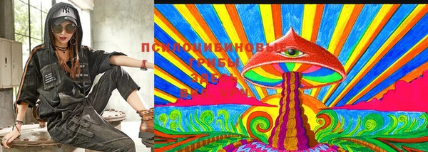 молекула духа Пролетарск