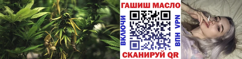 ТГК концентрат Макушино