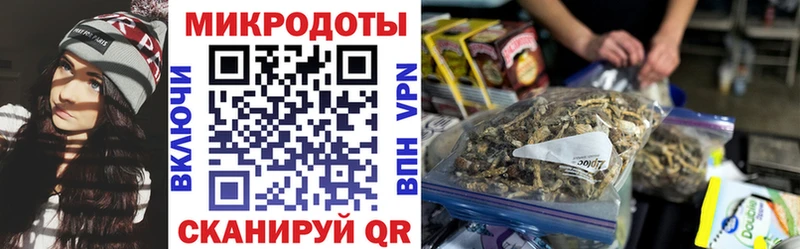 Псилоцибиновые грибы GOLDEN TEACHER цены Макушино